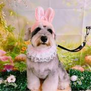 ちゃんさん様Louis Vuitton ルイヴィトンマフラー確実正規品 - メルカリ