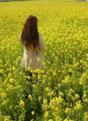 マリナボーダー ete MICHEL KLEIN などアクセサリー5点セットです