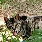 i7 8550U windows10 T75/GB 16G 240G - メルカリ