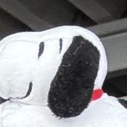 僕が見たかった青空 CD購入特典チケット風カード 直筆 宮腰友里亜 