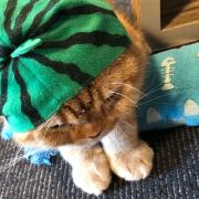 ポケモンカード ギラティナ 海外 英語 Lv X レベルx メルカリ