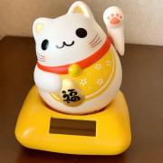 中古】そかんとどばぐ - メルカリ