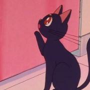 やさしい子供のつくりかた メルカリ