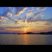 黒執事 声優イベント グッズ リーフレット 小野大輔 メルカリ