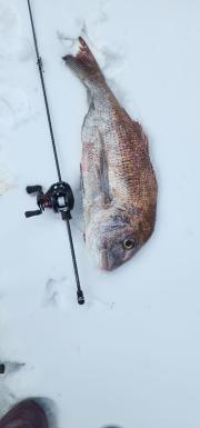 C04 出力強化タイプ電気柵 ゴコーテクノス059CZ-CP2Y - メルカリ 