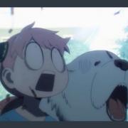 メルカリ ポケモンカード シェイミex デュエルマスターズ 1 600 中古や未使用のフリマ