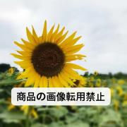 アッサリー様 リクエスト 5点 まとめ商品 - メルカリ