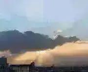 あんたの花道 惚の字の ほ ケース 歌詞カード メルカリ