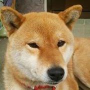 不可思議堂奇譚 メルカリ