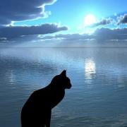 薄桜鬼 桜の宴 10 メルカリ