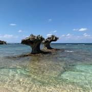LARDINI LIKNIT ラルディーニ 48 ブラック 近年ロゴ - メルカリ