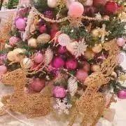 舞台妖怪アパートの幽雅な日常 妖アパ メルカリ