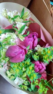 歴史人物かるた ダイソー 音声 年代 解説 イラスト 楽しく 勉強 学ぶ メルカリ