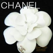 売り切り☆ヴィンテージ☆CHANEL☆首輪☆ドッグタグ☆ - メルカリ