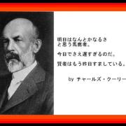 Redwing レッドウィング アイアンレンジ マンソン メルカリ