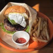 Douglas FF171 ショルダーパッド 18