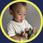 アガベ】怠惰様 スペシャルセット 速達 シーザーセット - メルカリ
