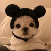 ARGUS BNVD-1431 MK1 ナイトビジョン ハウジング - メルカリ