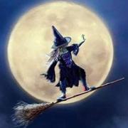 ラクーンファー&カシミヤ☆マント☆49万円で購入☆着物にも☆状態良好  