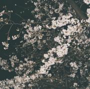 はっさく様専用❗️完動品❗️Konica Big mini BM-201 女の子向け