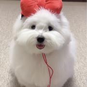 World ワンピース メルカリ