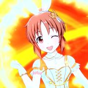 リセ ハピメア スリーブ 平坂景子 メルカリ