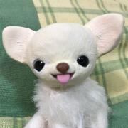 ママチャップトイ 双子のひなちゃん たれ耳ロリータピンク もこちゃん 