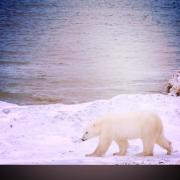 即日出荷 ラスト1点 長財布 PORTER ユナイテッドアローズ パスポート  