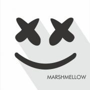 supreme shop jacket ミントグリーンM 【即日発送】 spektakel.wien