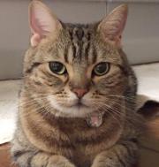 プルーフ 貨幣セット メルカリ