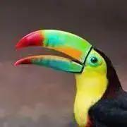 天然石 ラリマー AA品質 ペンダントトップ （5L） - メルカリ 