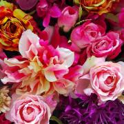 ペット用歯ブラシ やわらかさ最上級 泡雪歯ブラシ メルカリ