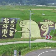 ワンピーススクラッチ ナミ2ハズレ券6枚セット メルカリ