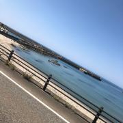 LEXUS RC 3cm短縮ナックル 速くおよび自由な 25000円 scdp.cm