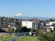 カプコケコ シリアルコード 色違い ポケモン メルカリ