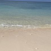 メルカリ 即日発送 色違い ミュウ スター デルタ種 015 068 ポケモンカードゲーム 44 444 中古や未使用のフリマ