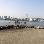 ♪値下げしました♪ラジコンヘリ☆極空 Black Spy ♪値下げしました♪ラジコンヘリ☆極空 Black Spy - メルカリ