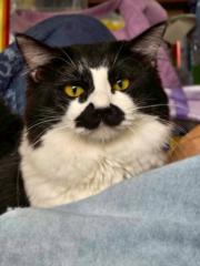 M 様 専用 スニーカー シェルフ メルカリ