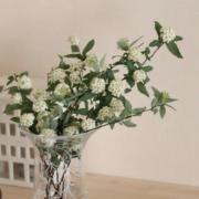 新品未使用巾着付き】 JANE SMITH HEART NECKLACE - メルカリ
