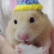 テニスの王子様 仁王雅治 増田裕生 ジャンプフェスタ サイン メルカリ