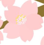 1090保冷剤リュック - メルカリ