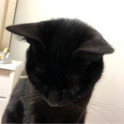 ZX25Rウインカー（にゃん様専用） 2022激安通販 outherewinnin.com