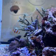 DIOR やーまんやん様専用です。 by メルカリ 