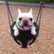 激レアvalentino ヴァレンティノ ジャケット 三崎優太青汁王子 - メルカリ 