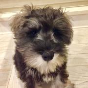 YAさん専用 TRIDENT スタンドアップパドル フルカーボン