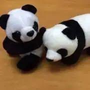 週末限定】オガッタ1〜10巻dvd セット