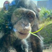 Sakaki様専用 One Piece 100巻記念 パズル セット メルカリ