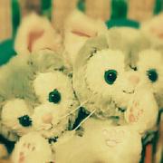 ニヤケル猫様☆確認page♡ジェラトーニリクエストオーダー - メルカリ 