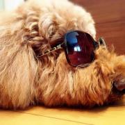 手作り木琴 バチ メルカリ