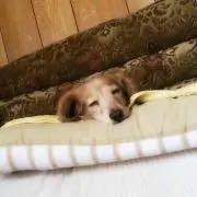 結婚式招待状返信アート 招待状アート ミニオン ディズニー ワンピース 悟空 メルカリ